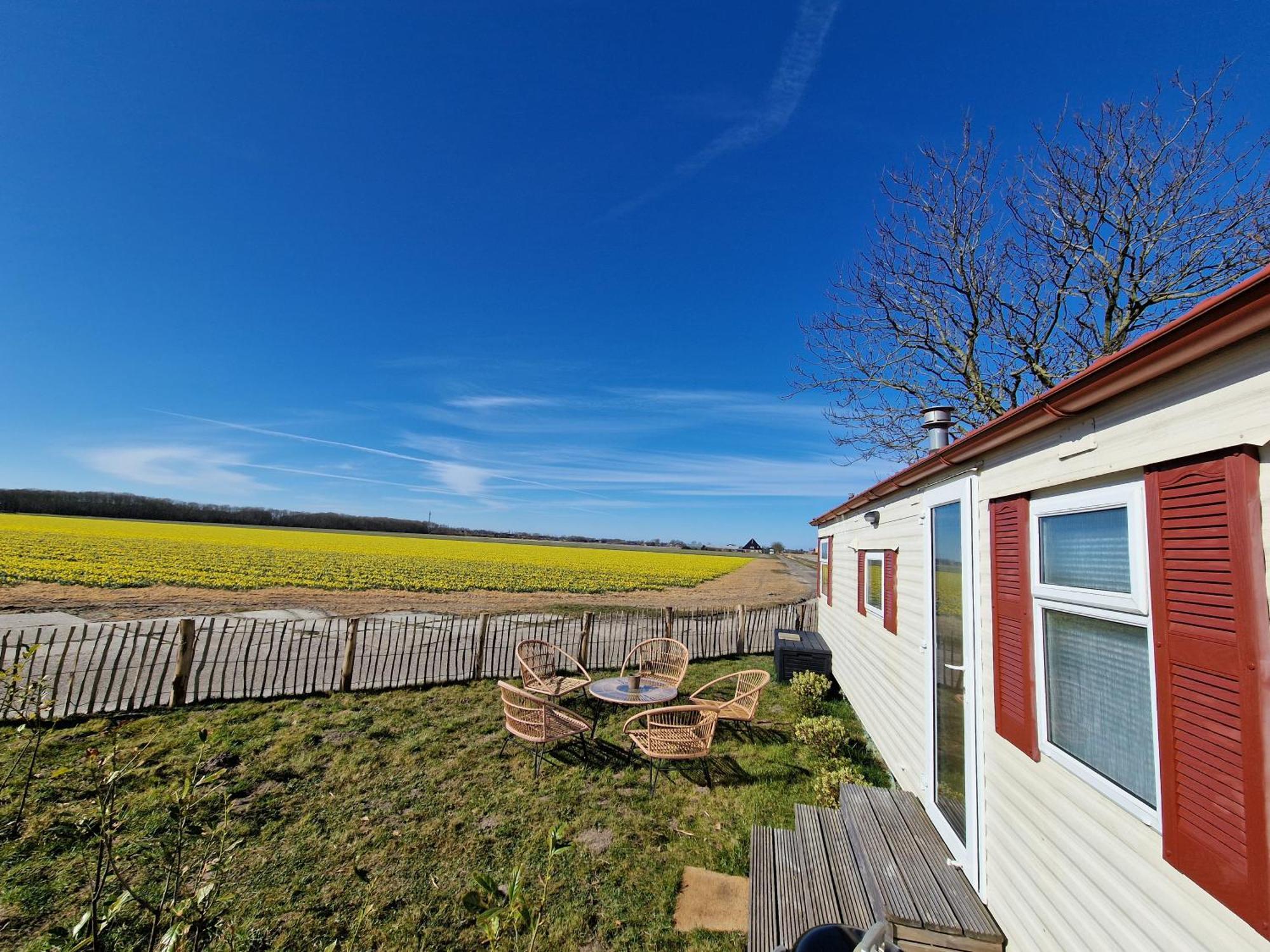 Chalet 'Como La Flor' Julianadorp Flowerfields Overview! Bagian luar foto